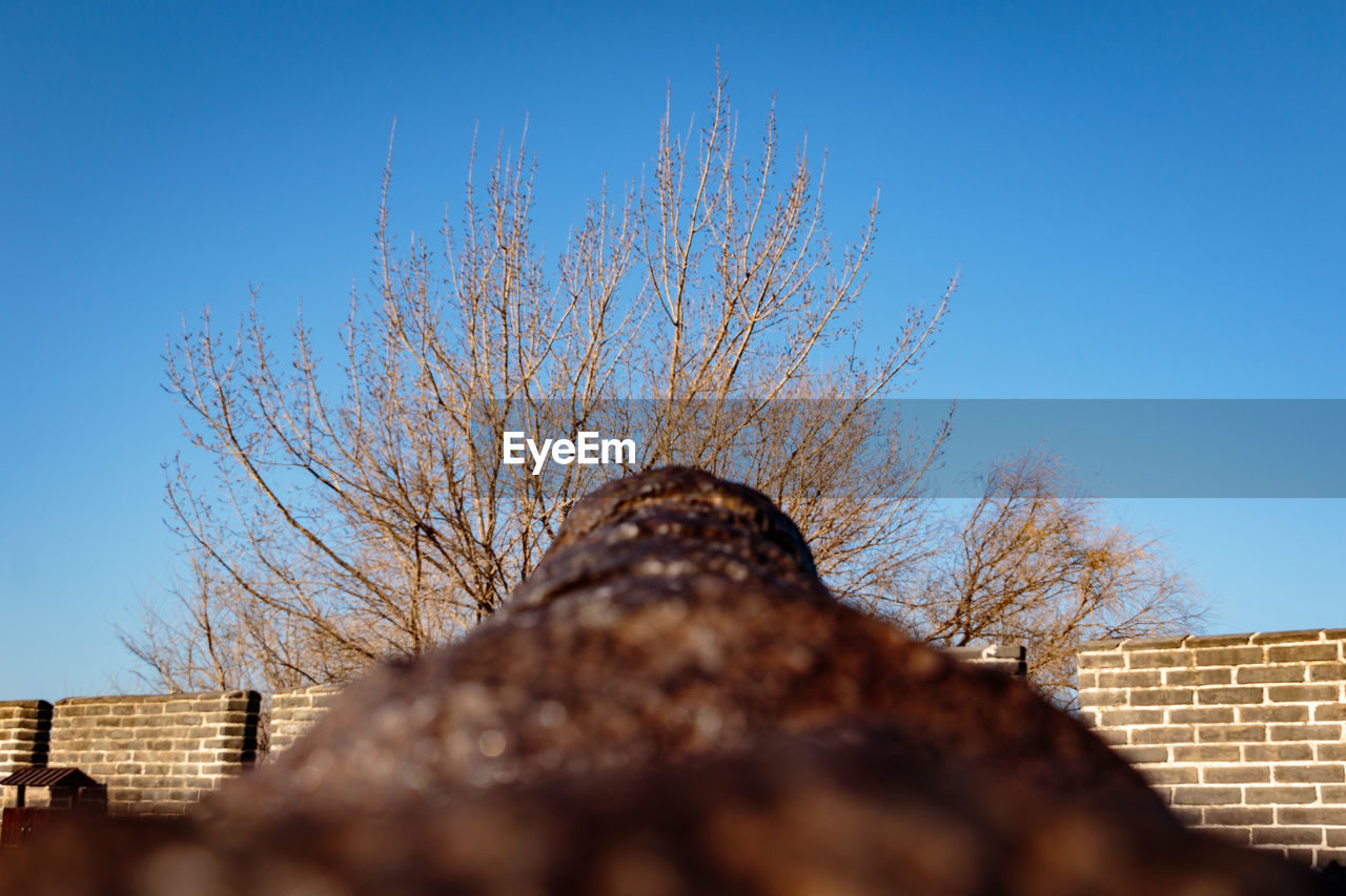 LOW ANGLE VIEW OF BARE TREE AGAINST SKY