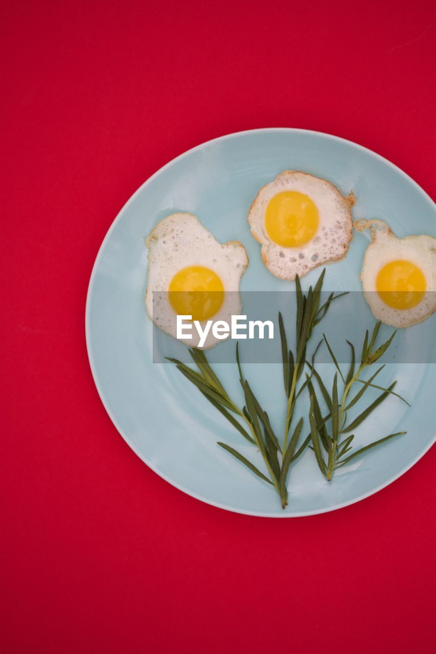 Egg flowers in a blue plate on red background