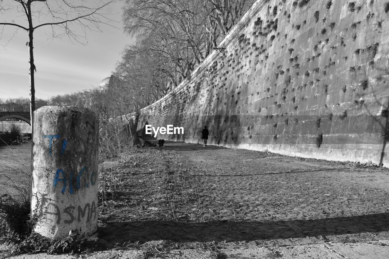 Street by wall on sunny day