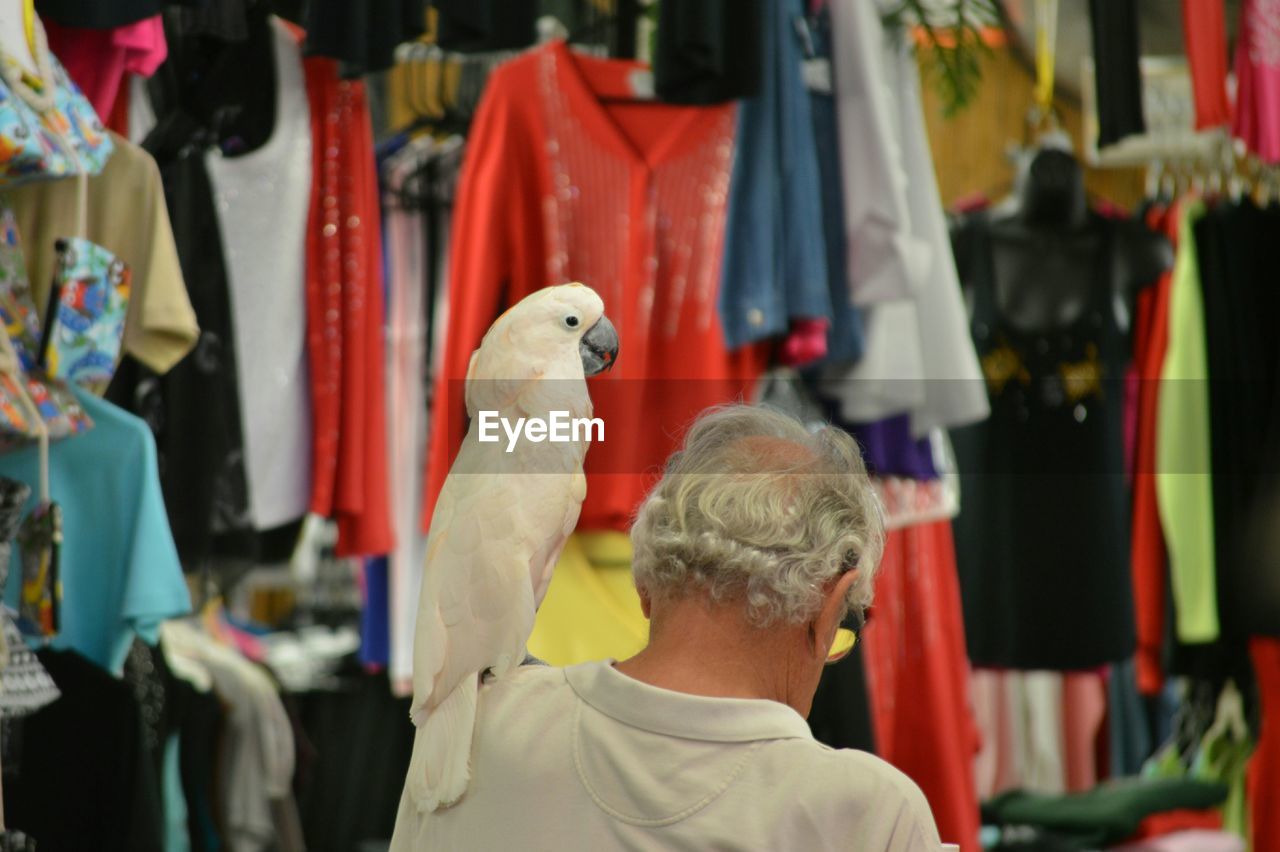 White cockatoo perching on man shoulder at market