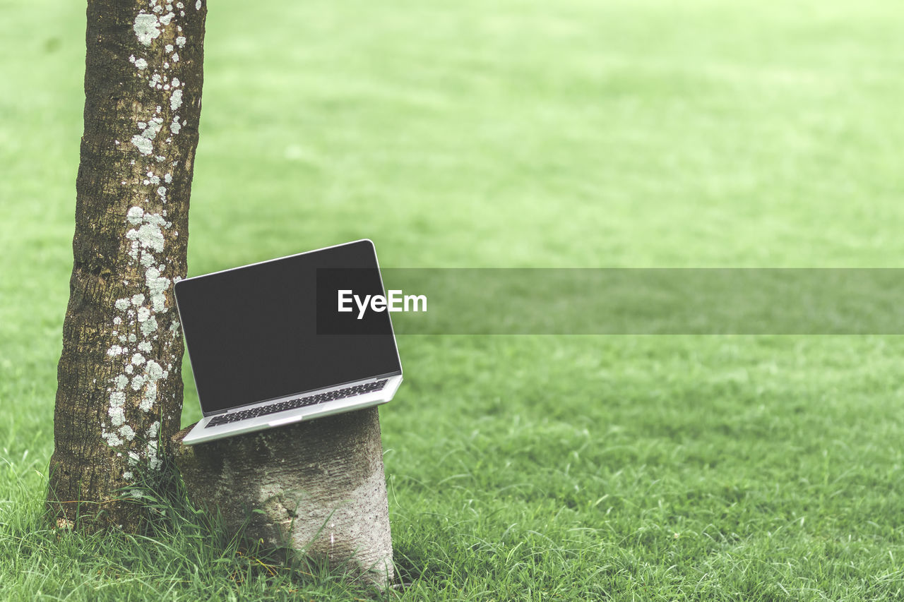 Mockup of modern laptop with black screen in the green tropical park of bali island. indonesia.