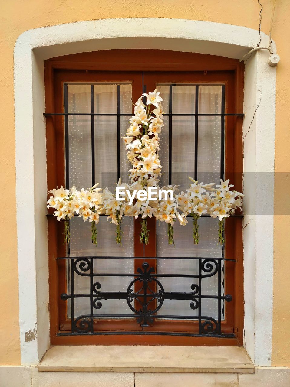 Flowers on window of building