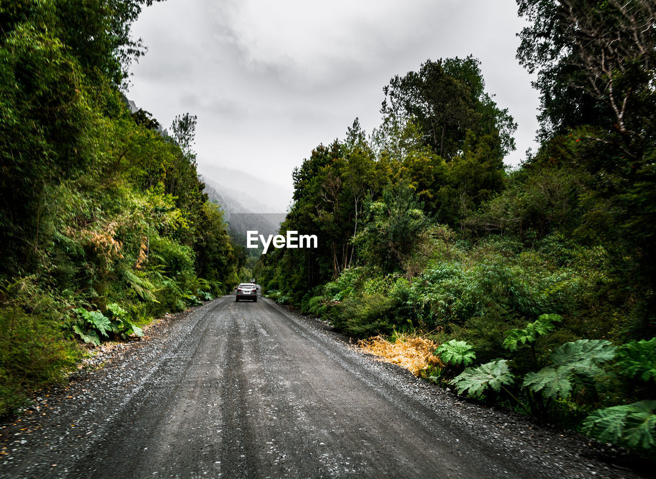 Road amidst trees in forest against sky