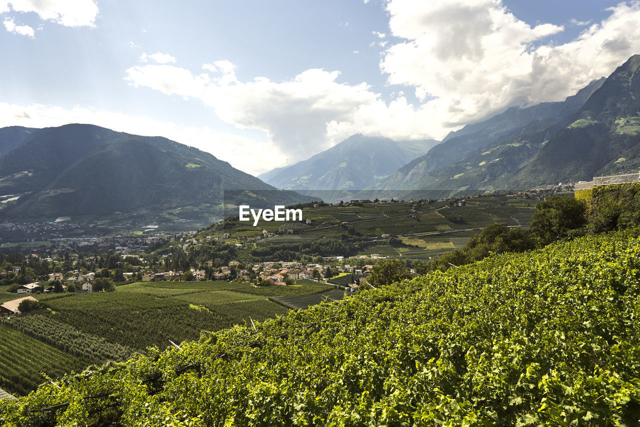 SCENIC VIEW OF FIELD AGAINST MOUNTAINS