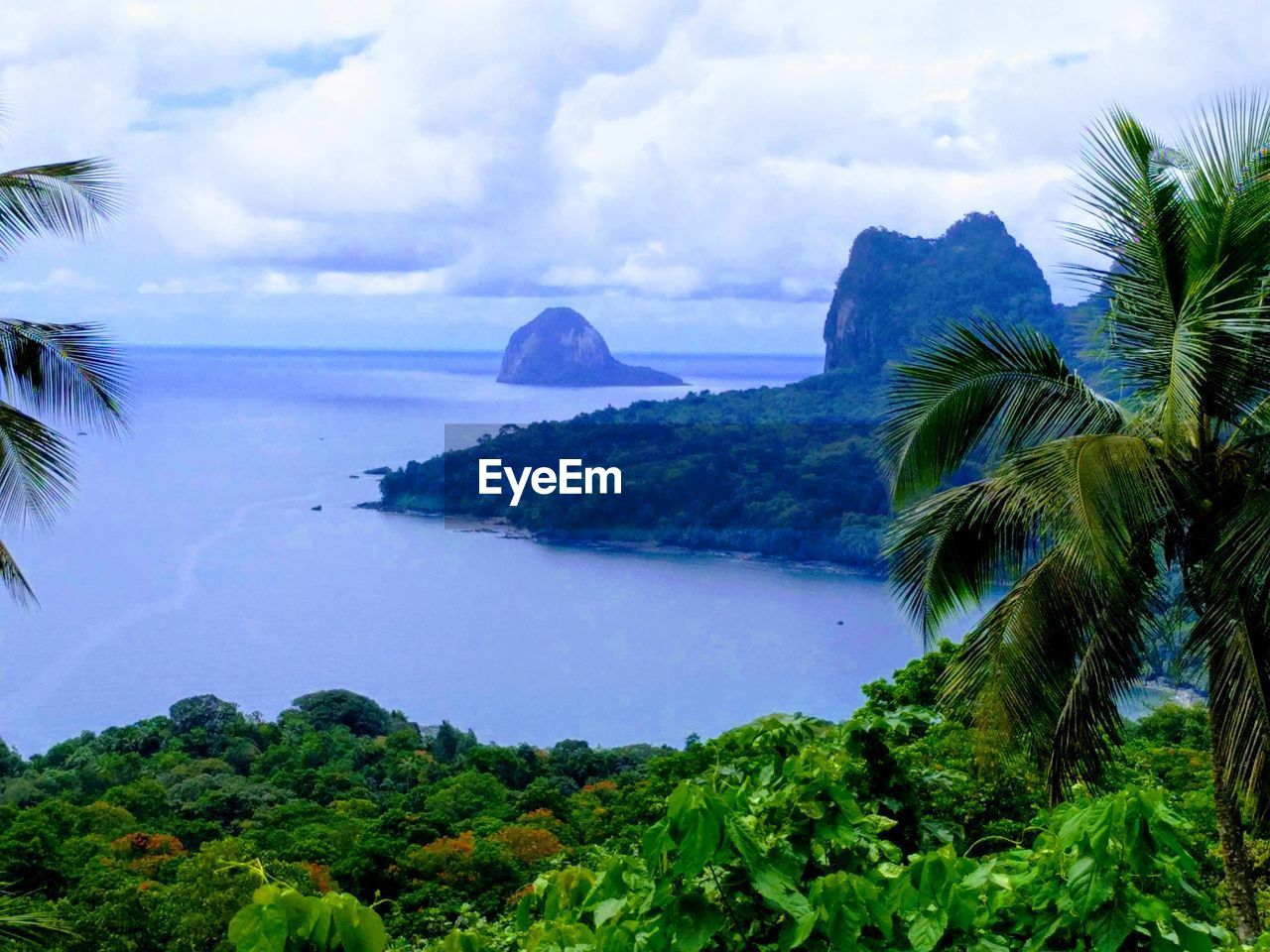 SCENIC VIEW OF SEA AND TREES AGAINST SKY