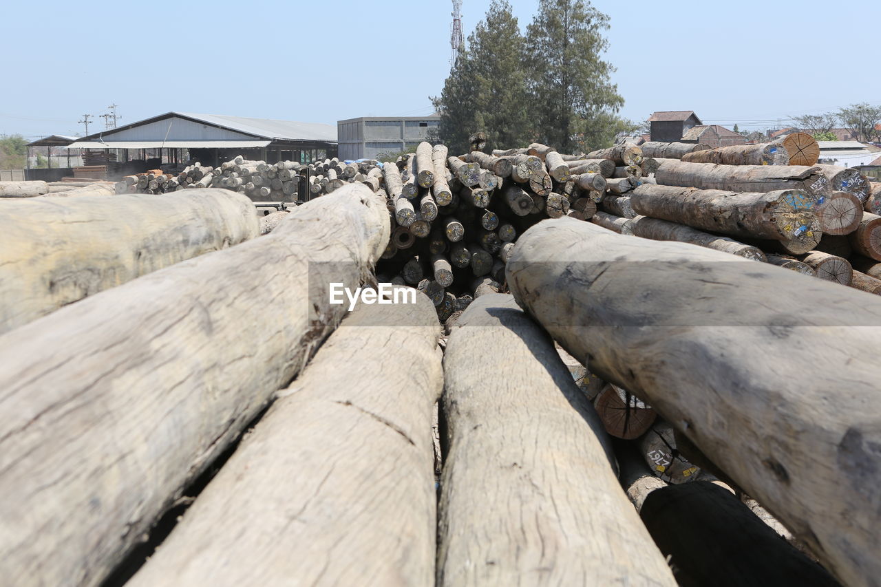 STACK OF WOODEN LOGS