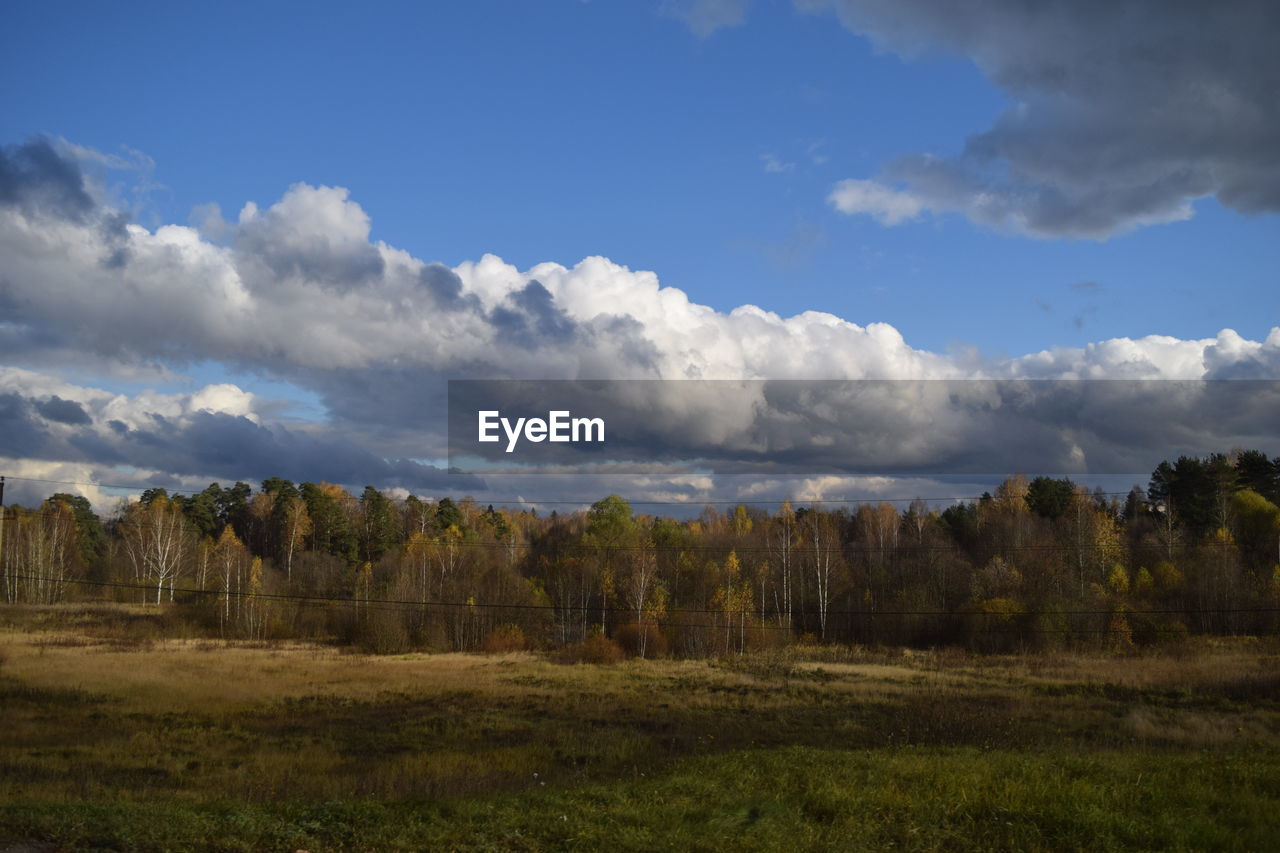 PANORAMIC SHOT OF LANDSCAPE AGAINST SKY