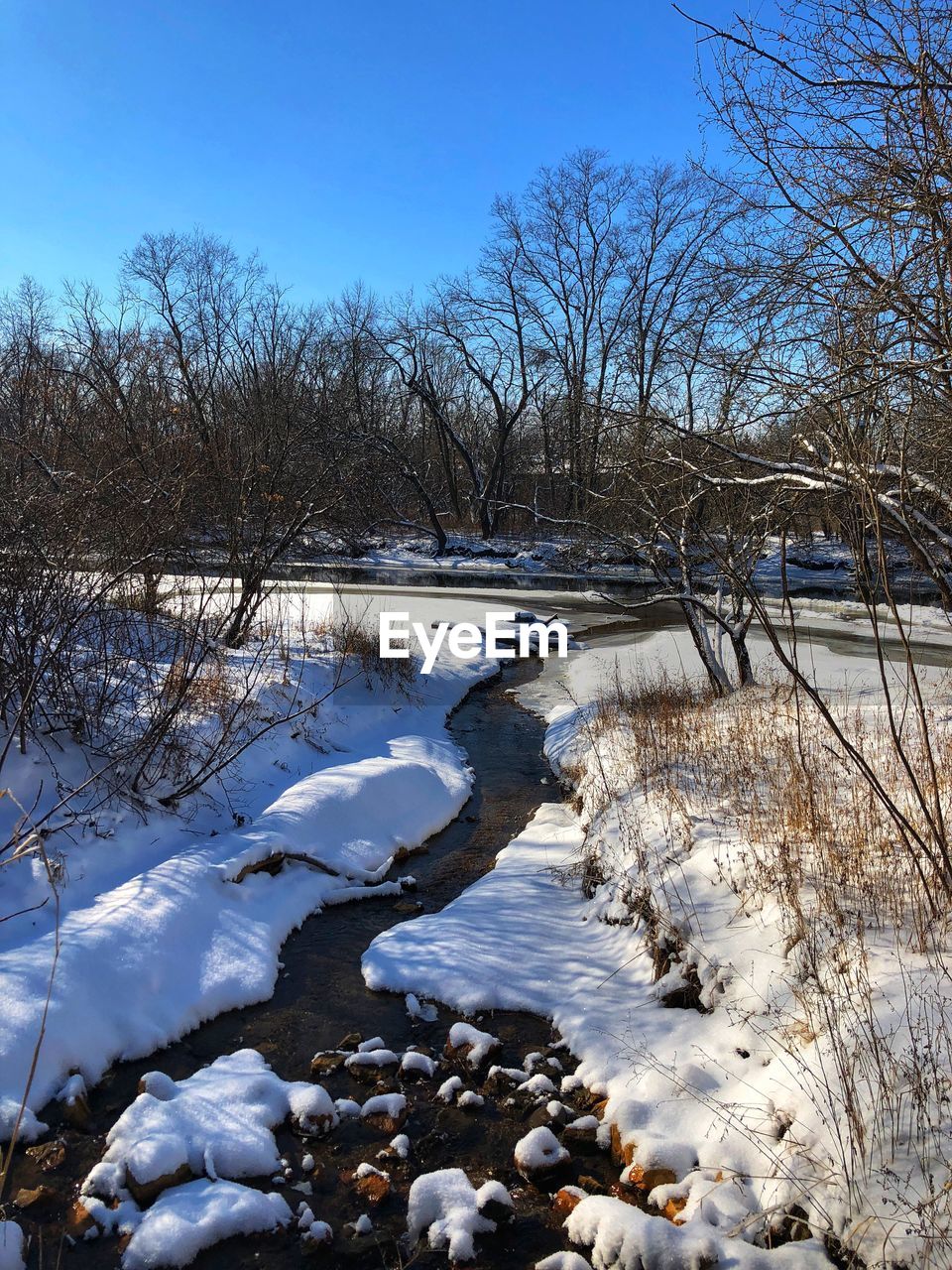 FROZEN LAKE AGAINST BARE TREES DURING WINTER