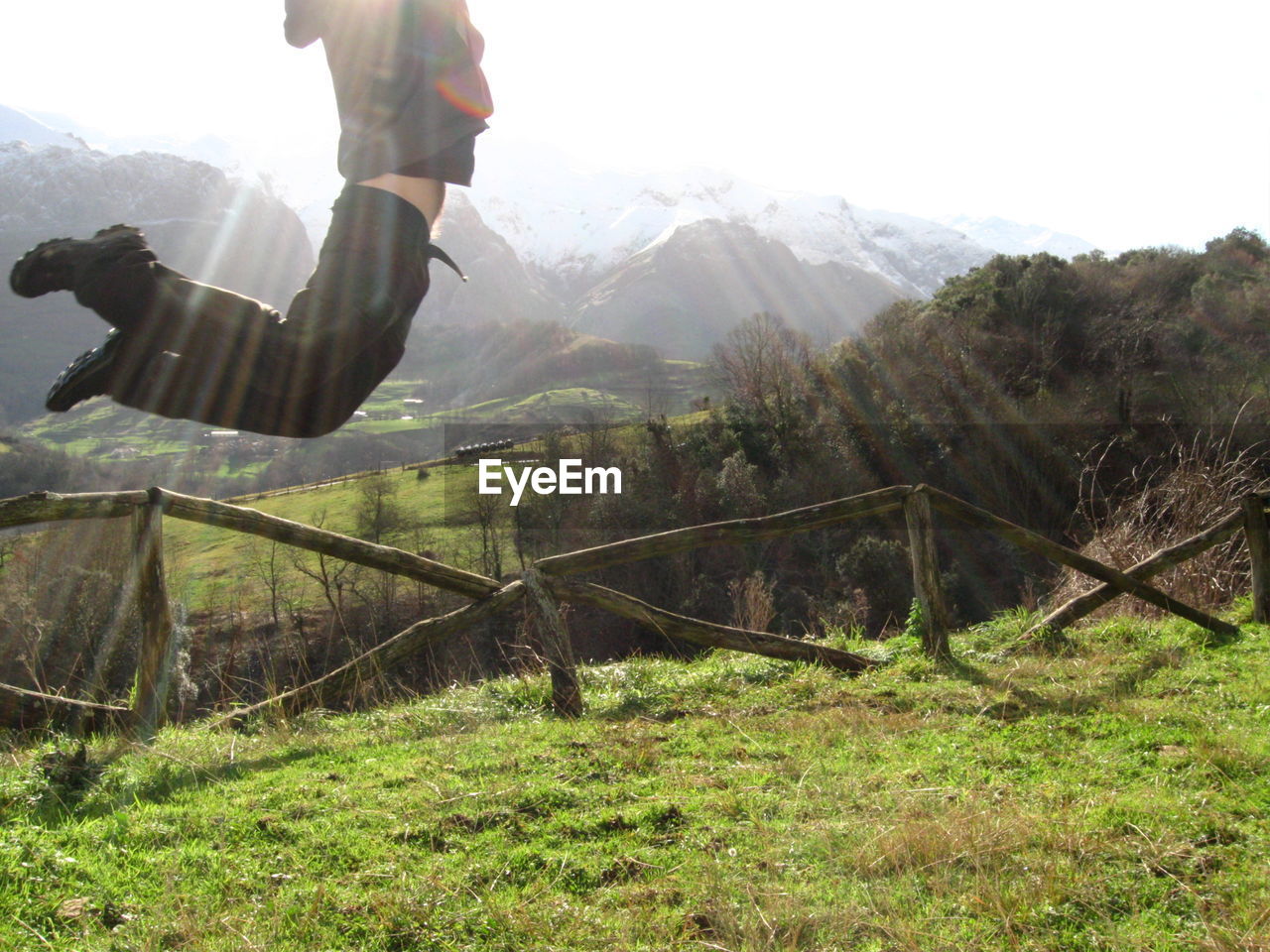 Cropped image of man jumping on grassy landscape