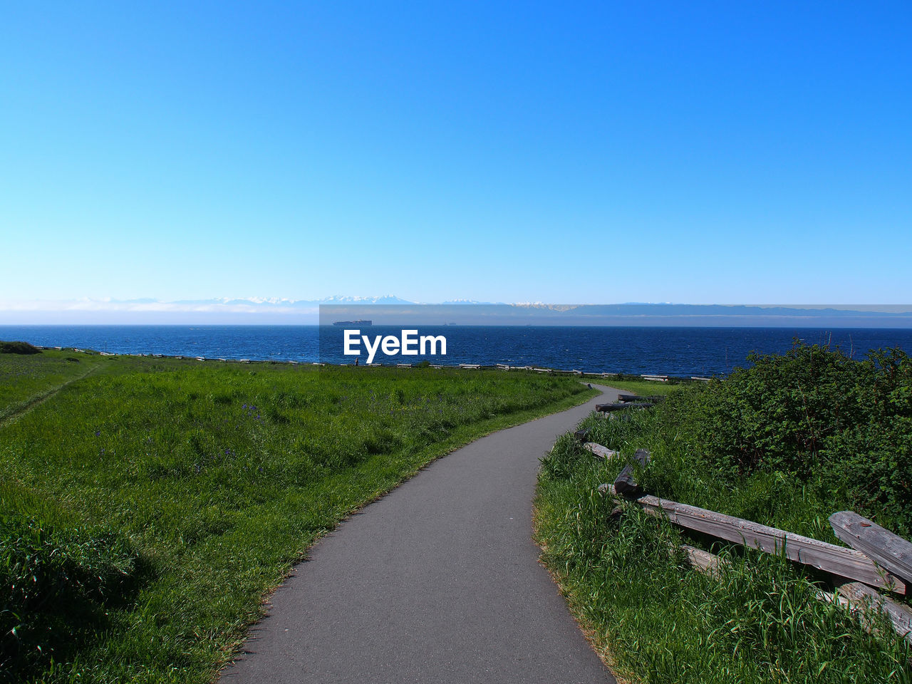 Footpath in grassy field against clear blue sky