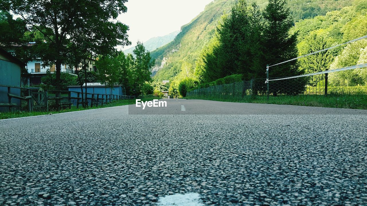 Empty road along trees