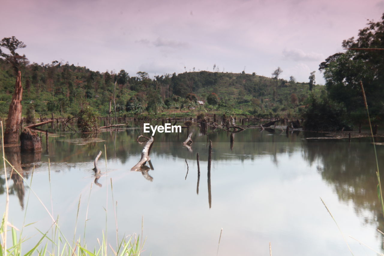 VIEW OF A LAKE