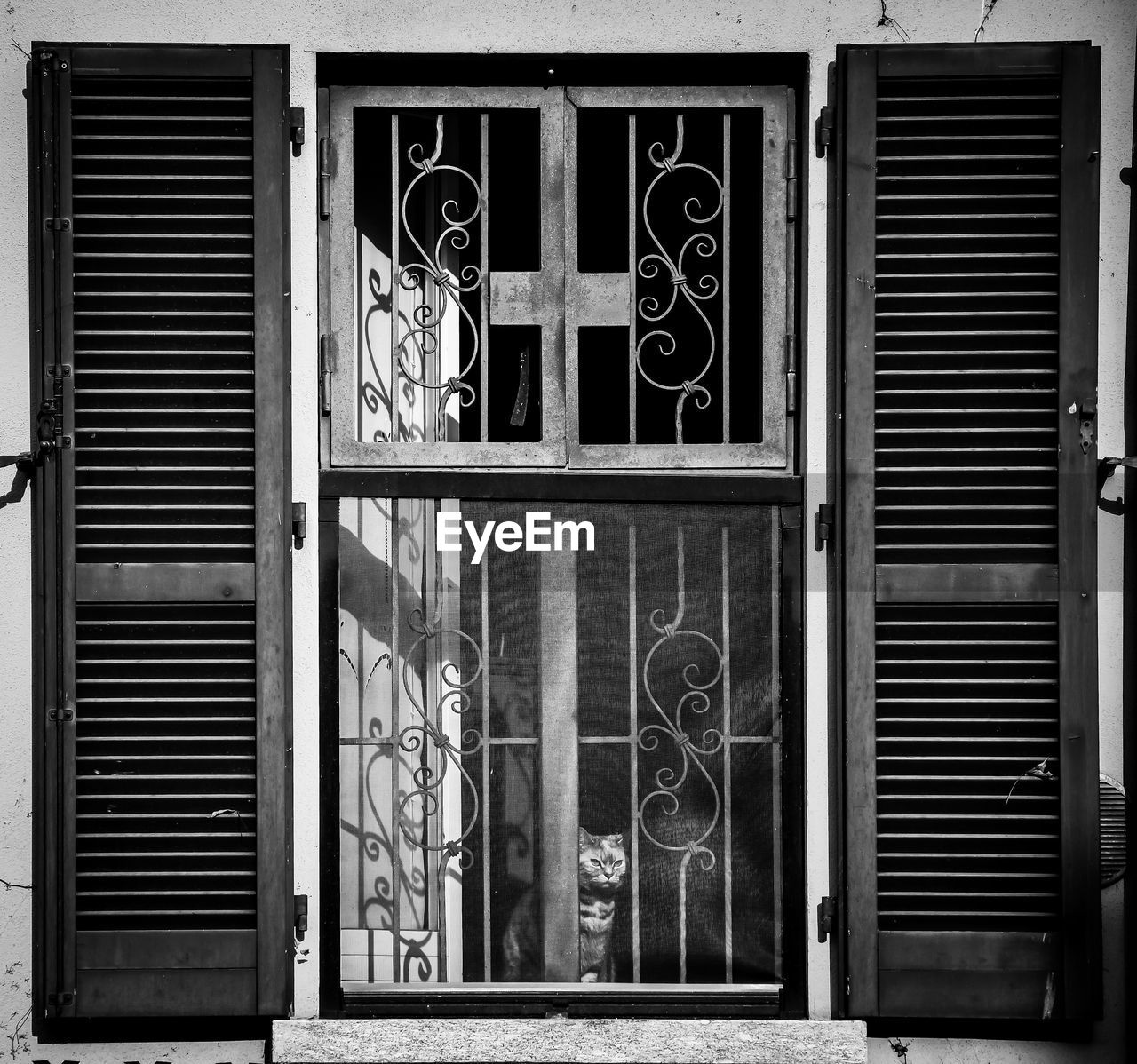 CLOSED DOOR OF WINDOW OF BUILDING