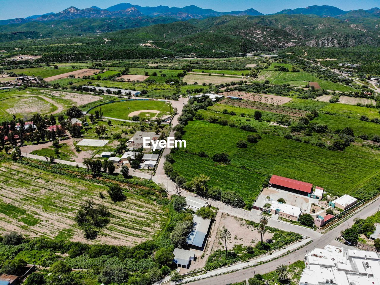 High angle view of houses and trees on field