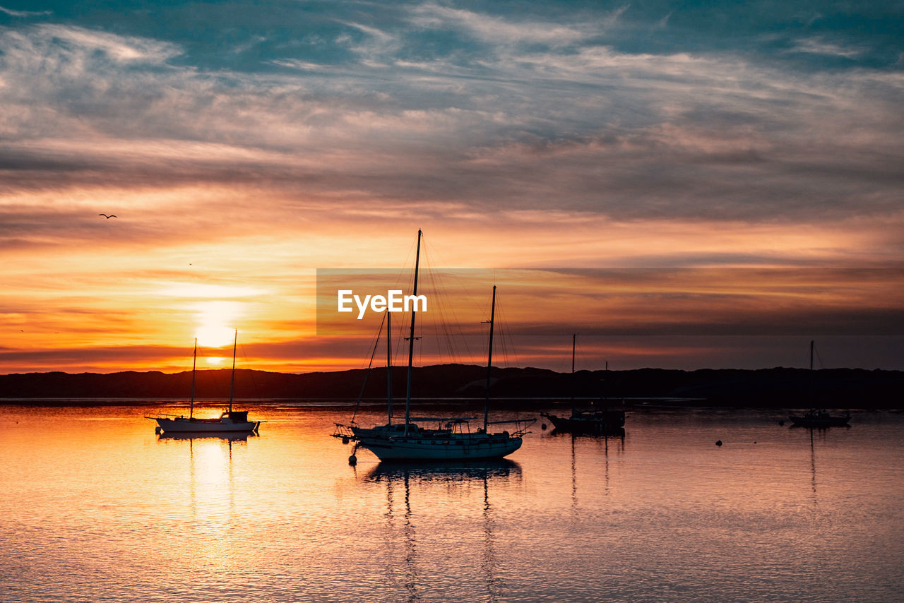 Boats in marina at sunset