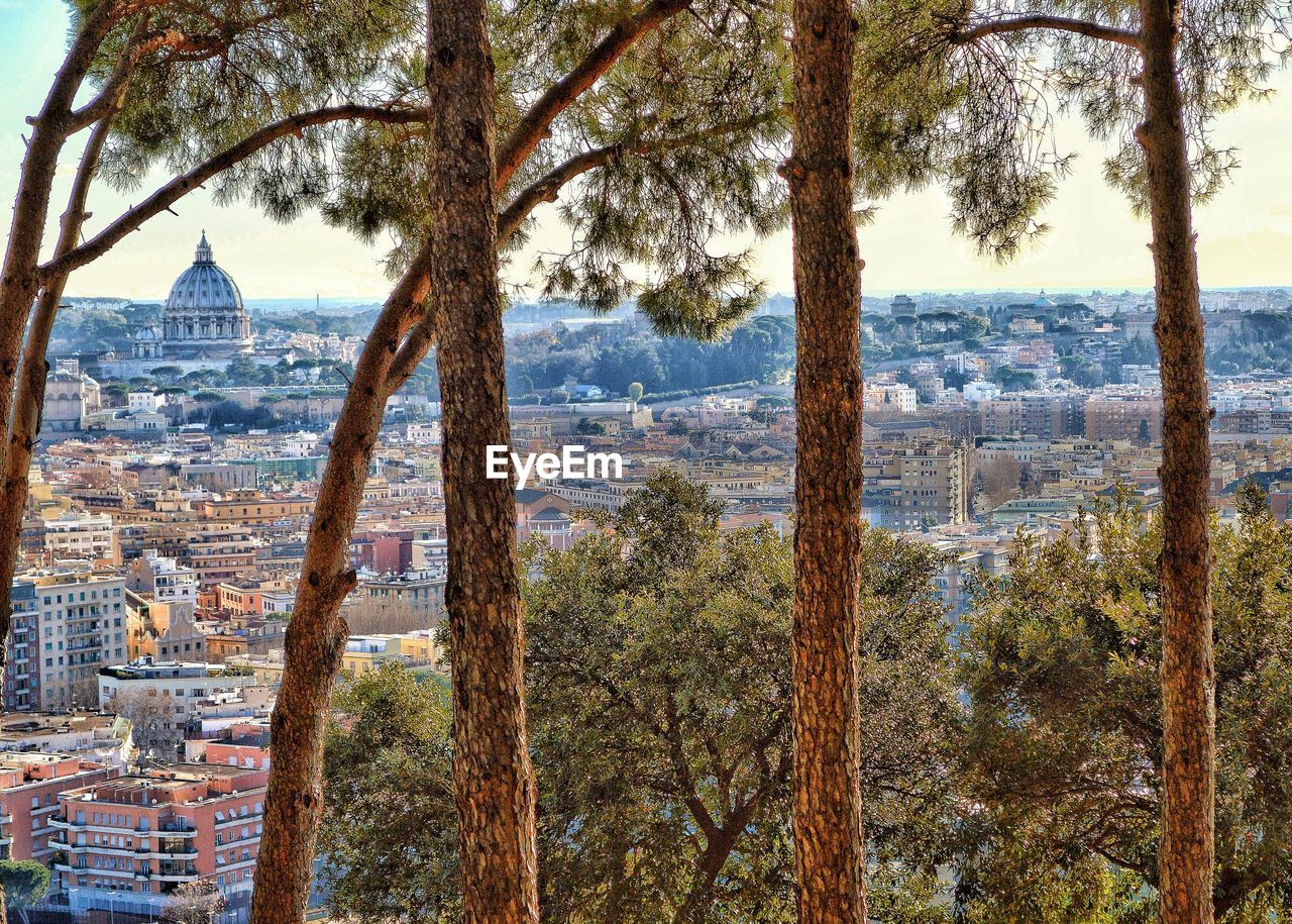 View of trees and buildings in city