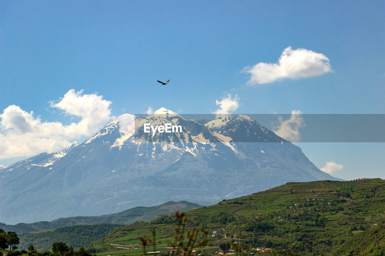 BIRD FLYING OVER MOUNTAIN AGAINST SKY