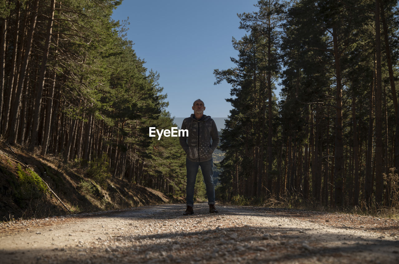 Portrait of adult man in country road in pine forest against blue sky, in guadalajara, spain