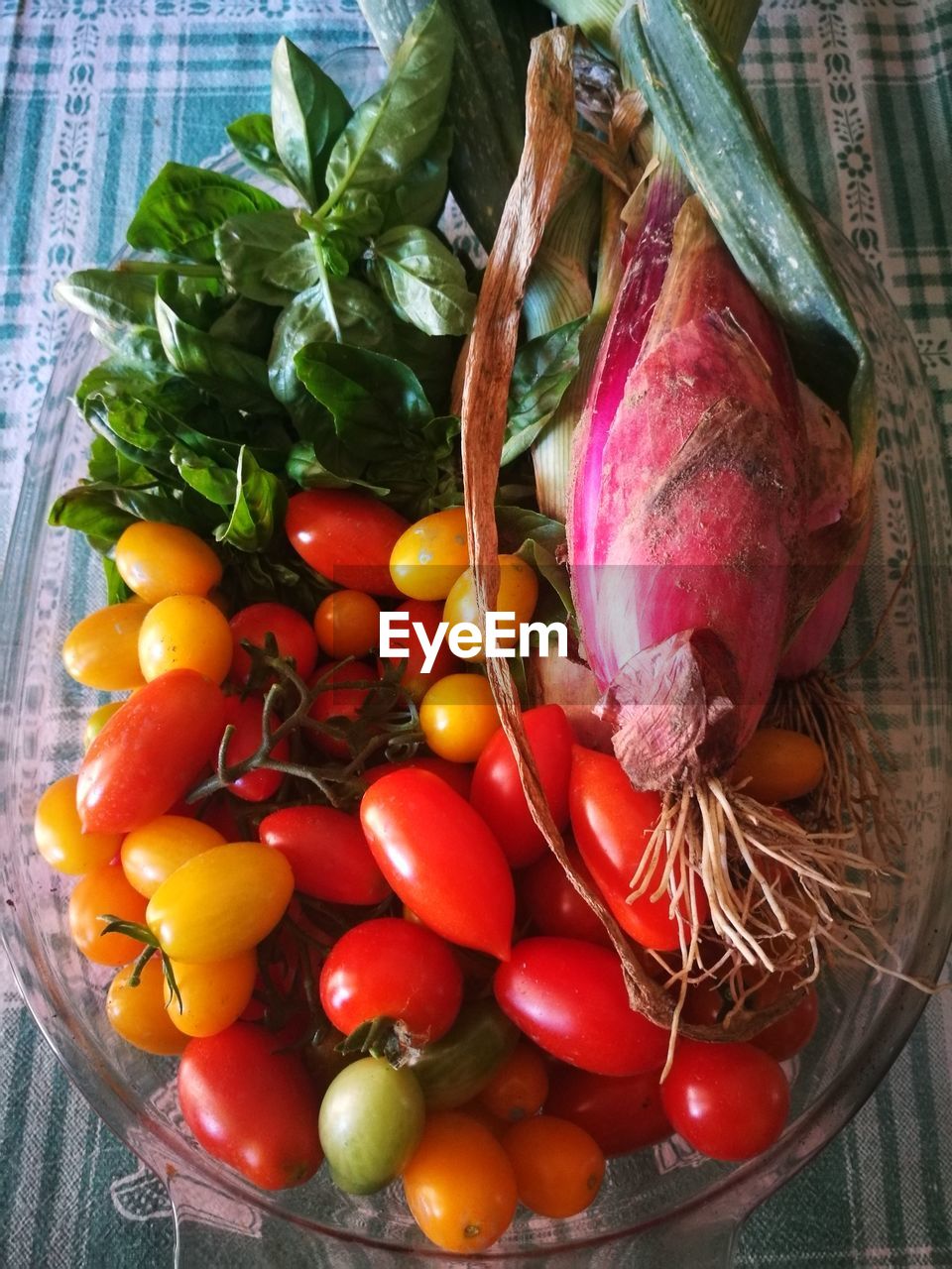 CLOSE-UP OF TOMATOES AND VEGETABLES IN CONTAINER