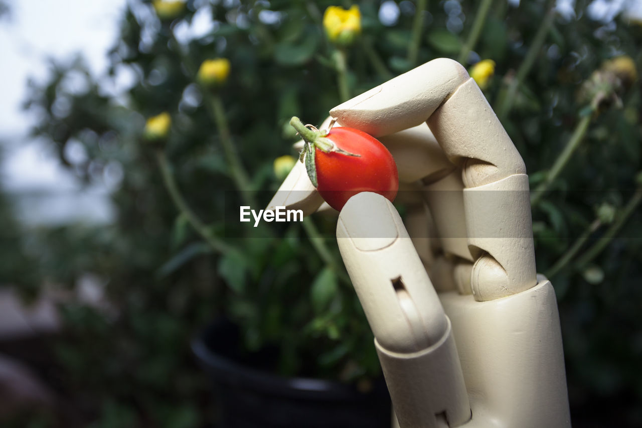 Close-up of figurine hand holding tomato outdoors