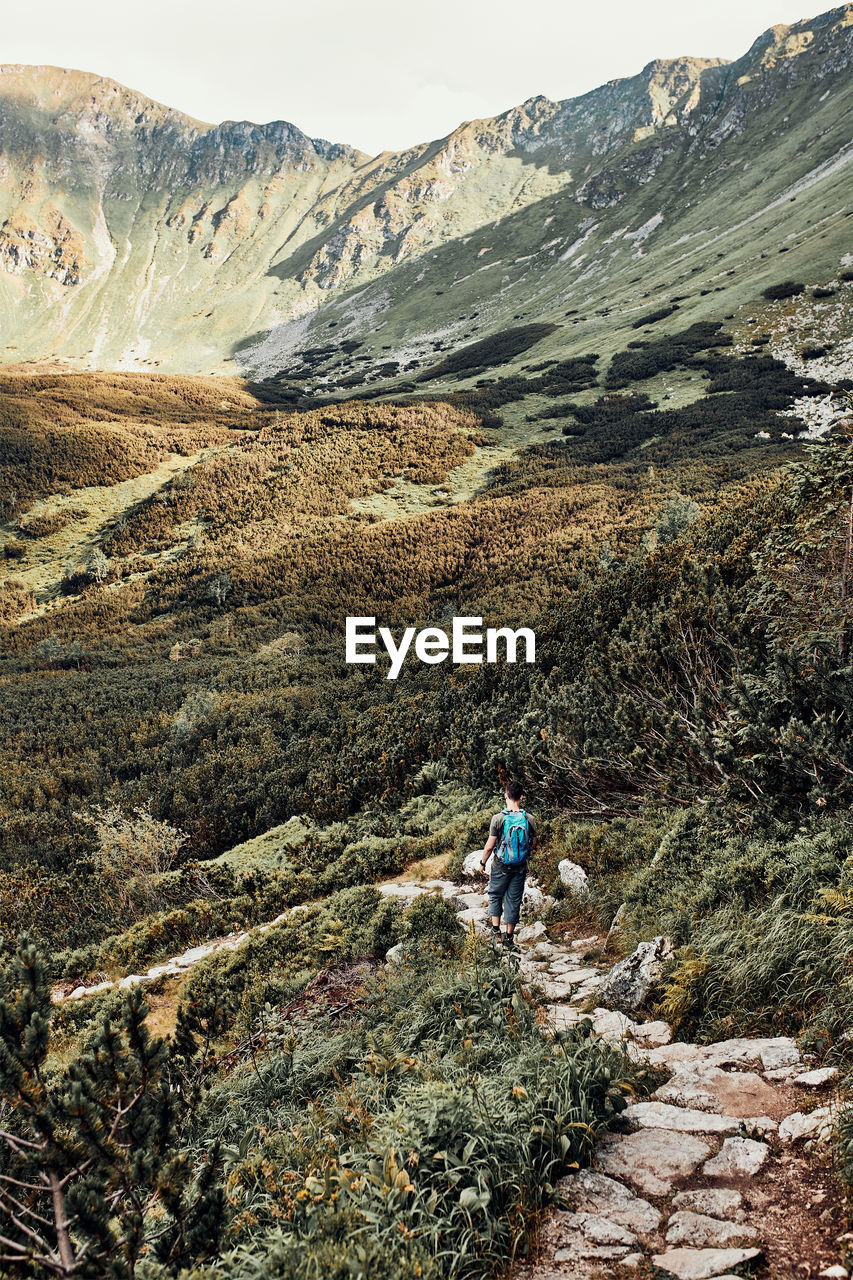 Young man with backpack hiking in a mountains, actively spending summer vacation