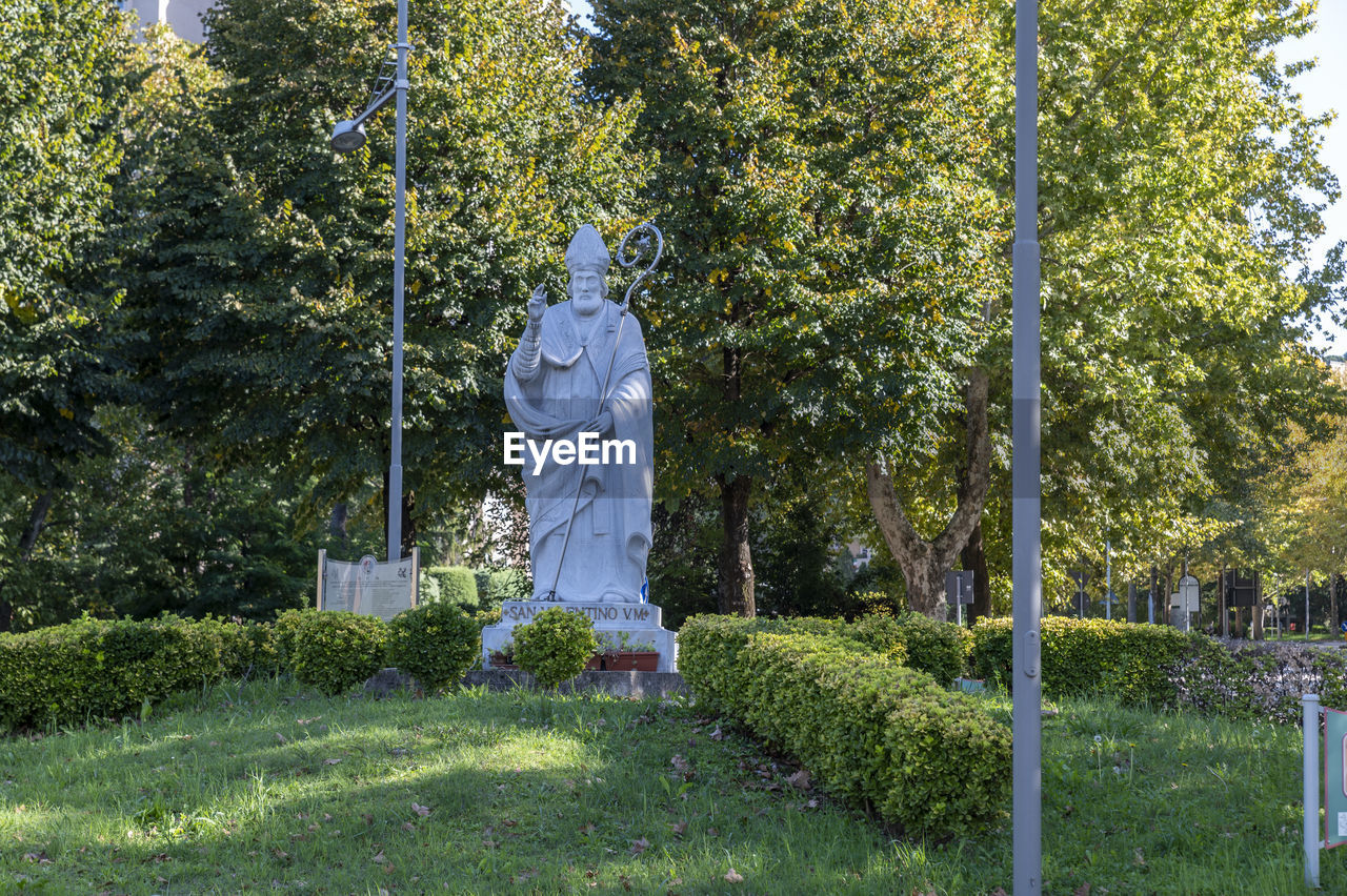 STATUE AGAINST TREES IN CEMETERY