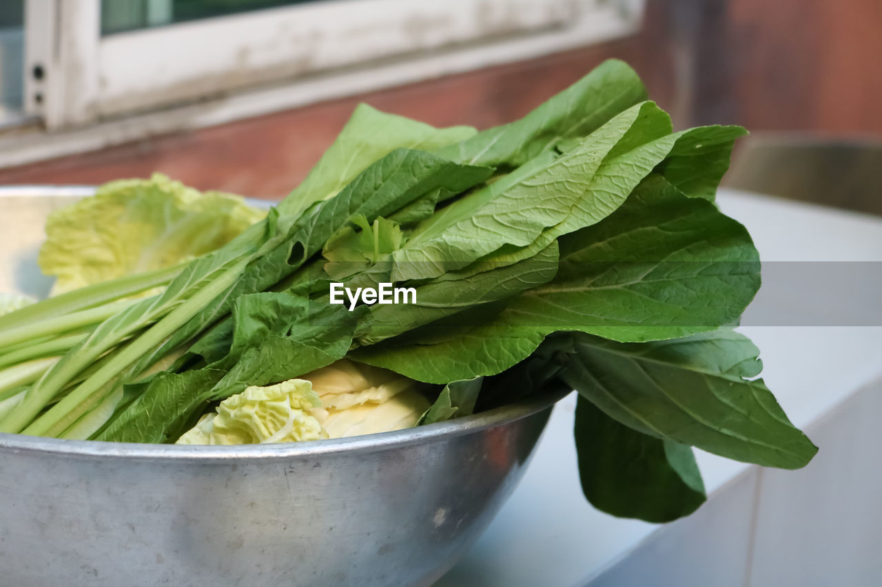 CLOSE-UP OF FRESH GREEN LEAVES IN BOWL