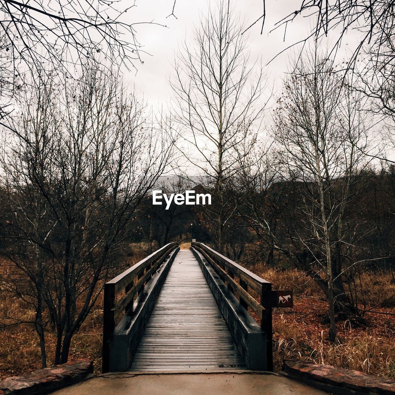 Footbridge amidst bare trees