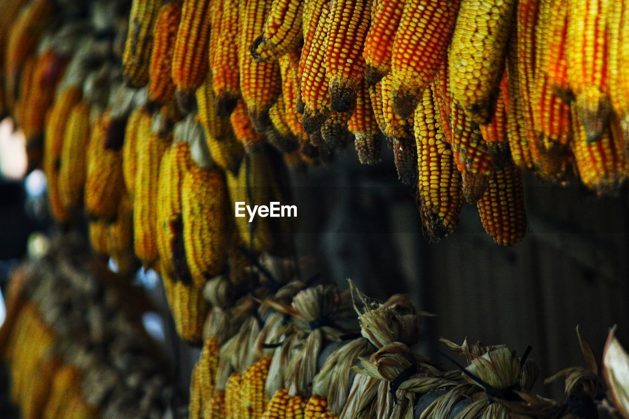 CLOSE-UP OF DRIED HANGING AT MARKET STALL