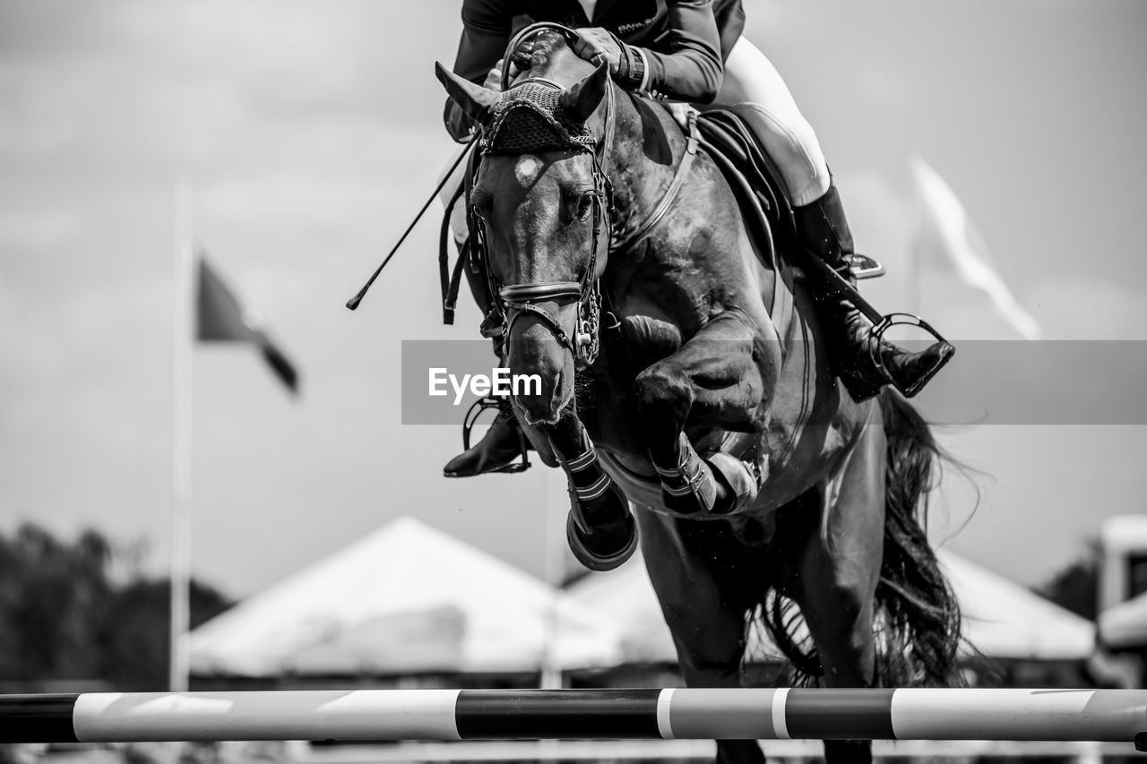 Horse jumping, equestrian sports, show jumping competition themed photograph.