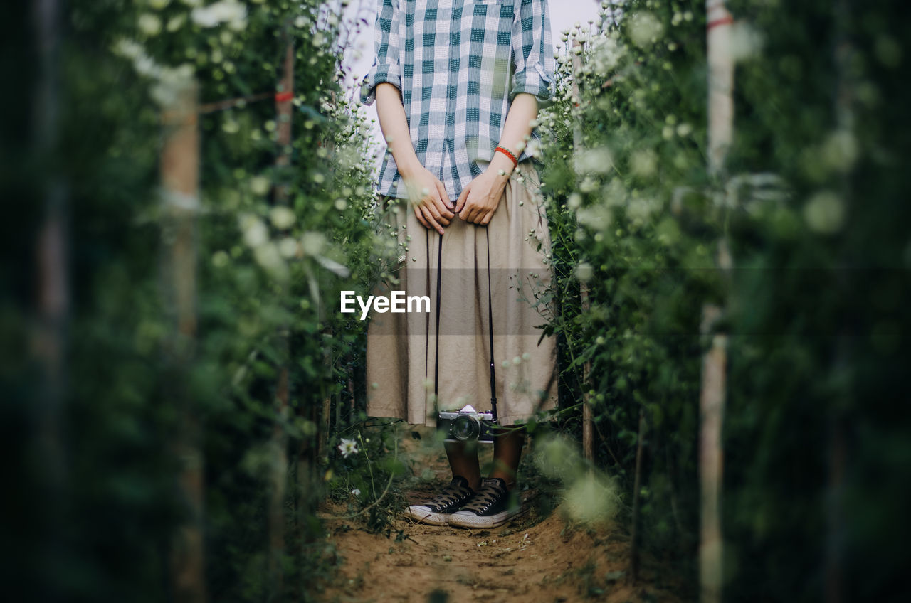 Low section of woman standing by plants