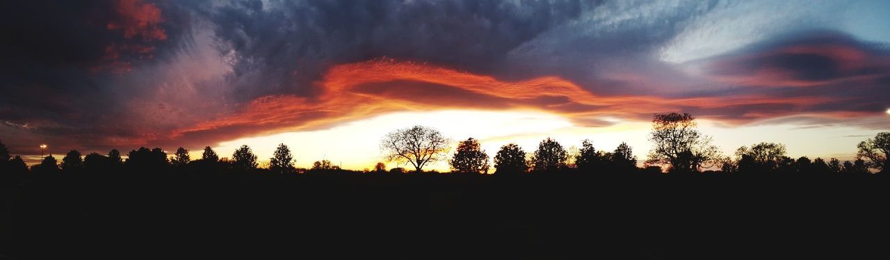 SILHOUETTE OF TREES AGAINST SKY DURING SUNSET