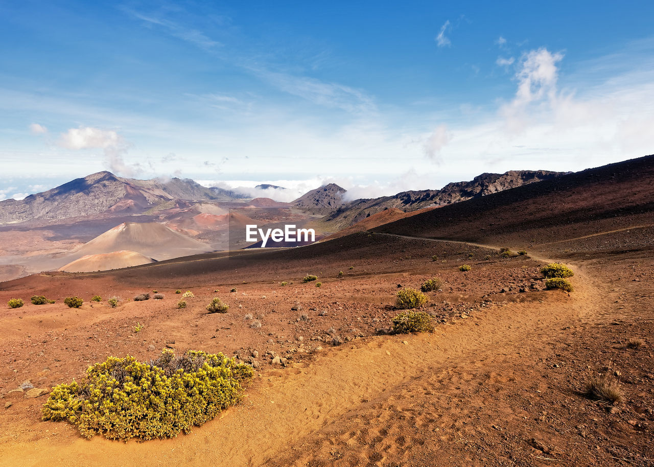 Scenic view of desert against sky