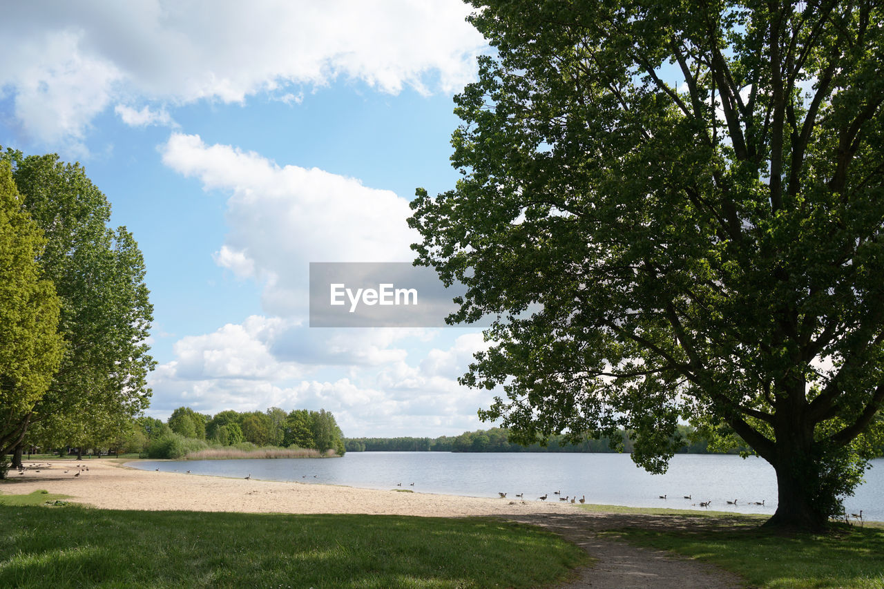 Bathing lake with empty beach in spring - altwarmbuchener see near hannover in germany