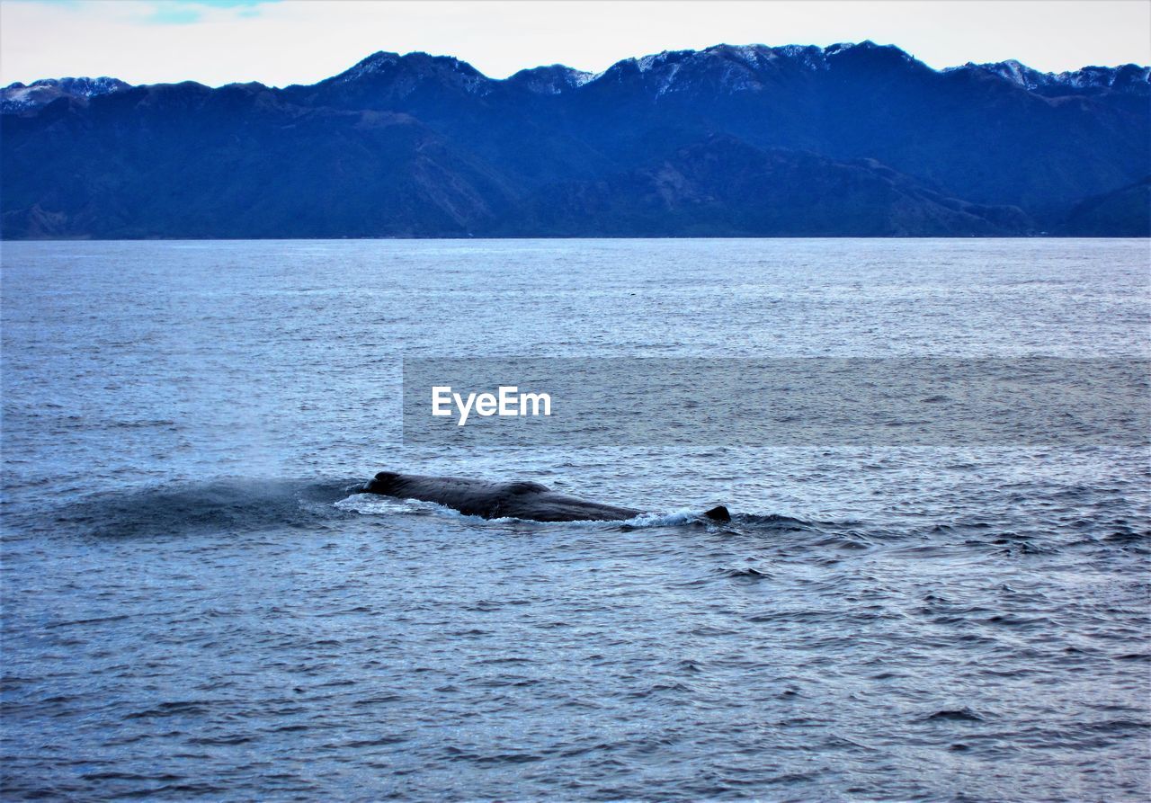 SCENIC VIEW OF SEA AGAINST MOUNTAIN RANGE