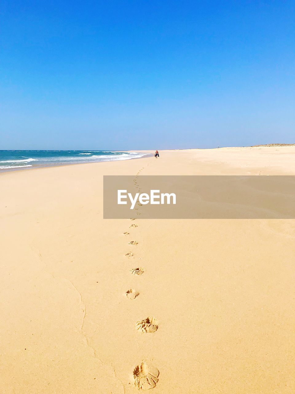 Scenic view of beach against clear blue sky