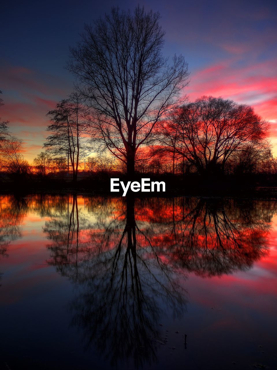 Reflection of silhouette trees on calm lake during sunset