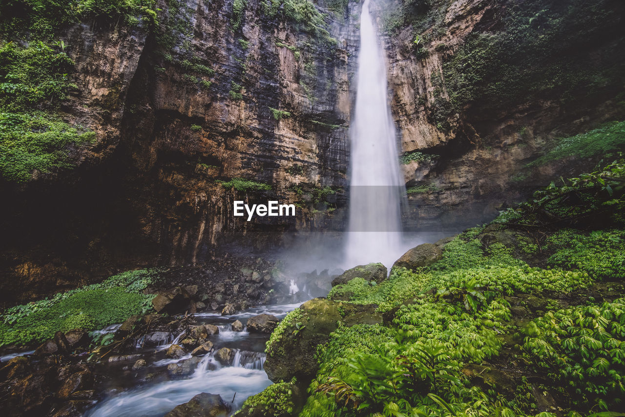 Waterfall in forest