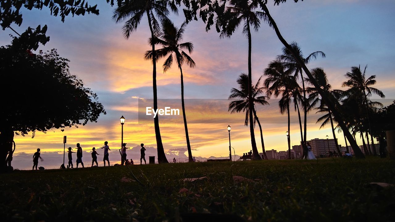 SILHOUETTE PEOPLE BY PALM TREES DURING SUNSET