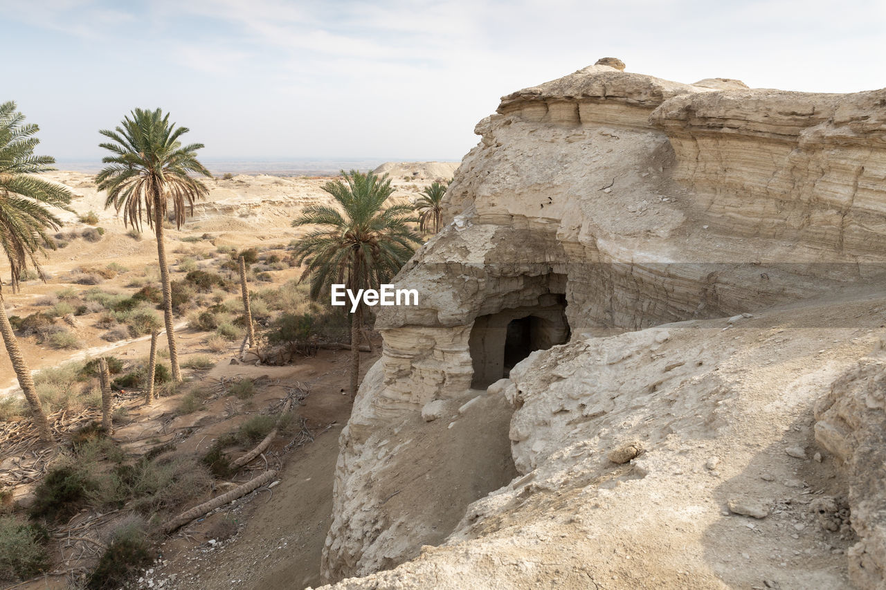 wadi, palm tree, land, ancient history, nature, rock, sky, travel destinations, tree, desert, plant, history, scenics - nature, landscape, travel, architecture, ruins, rock formation, environment, the past, tropical climate, ancient, geology, no people, terrain, climate, non-urban scene, cloud, outdoors, day, sand, date palm tree, beauty in nature, arid climate, tourism, old ruin, tranquility, extreme terrain, built structure, arch, eroded, dry, cliff, ancient civilization, physical geography, formation