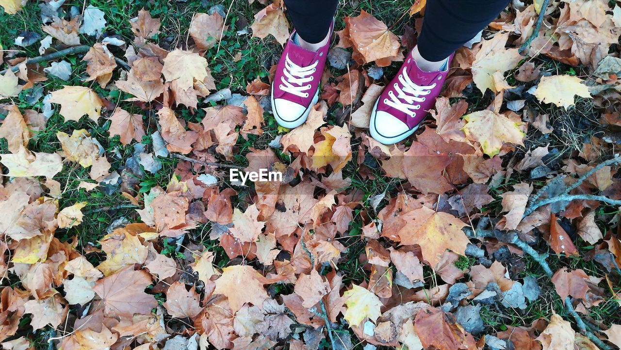 Low section of woman standing on leaves covered field during autumn