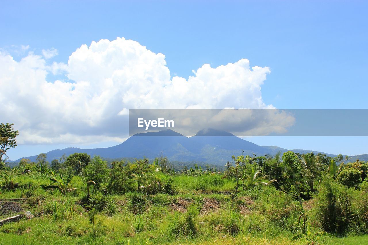 Scenic view of tree mountains against sky