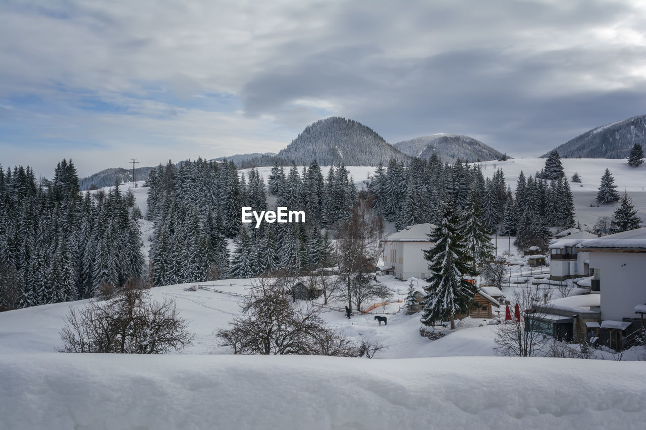 SNOW COVERED TREES AND BUILDINGS AGAINST SKY DURING WINTER