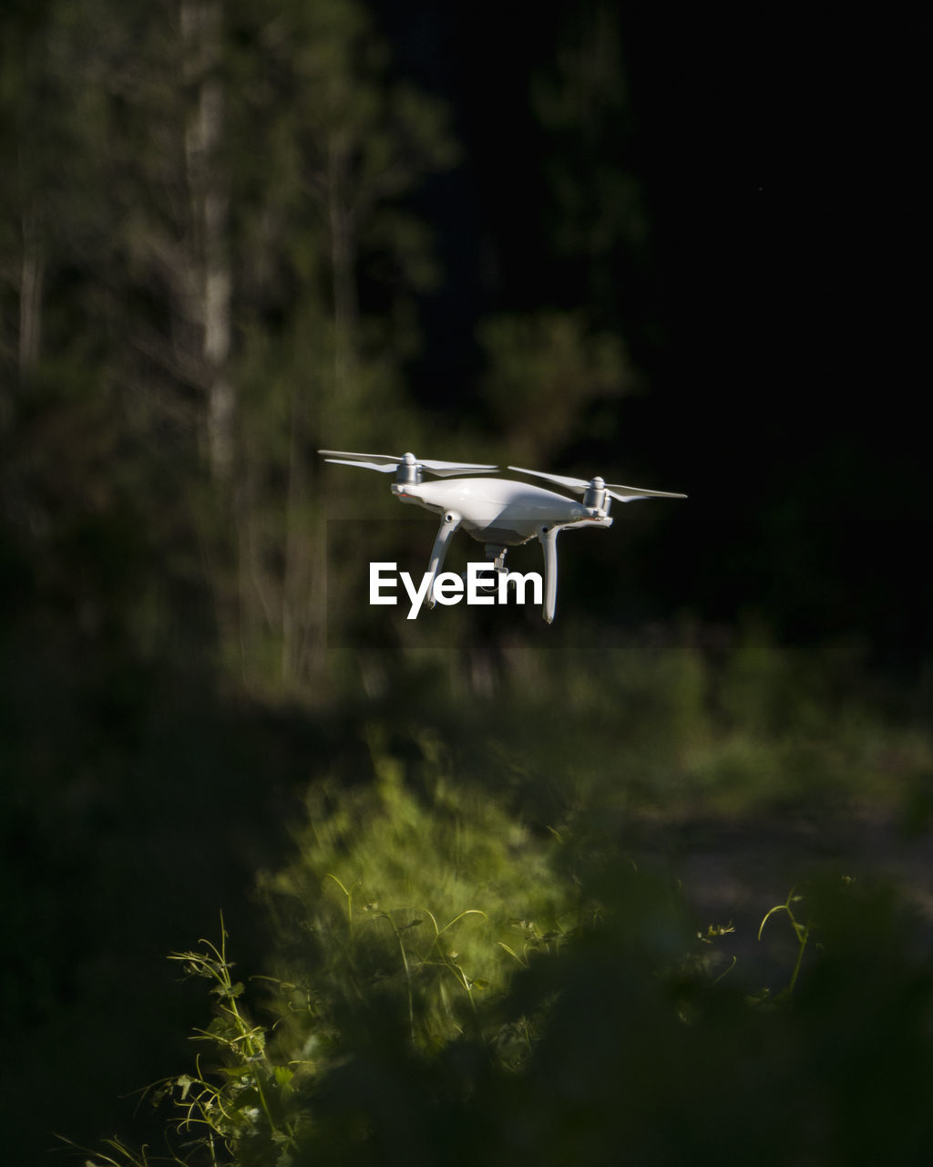 Close-up of drone against plants