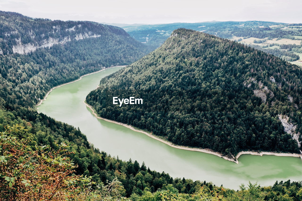 HIGH ANGLE VIEW OF TREES ON MOUNTAIN AGAINST SKY