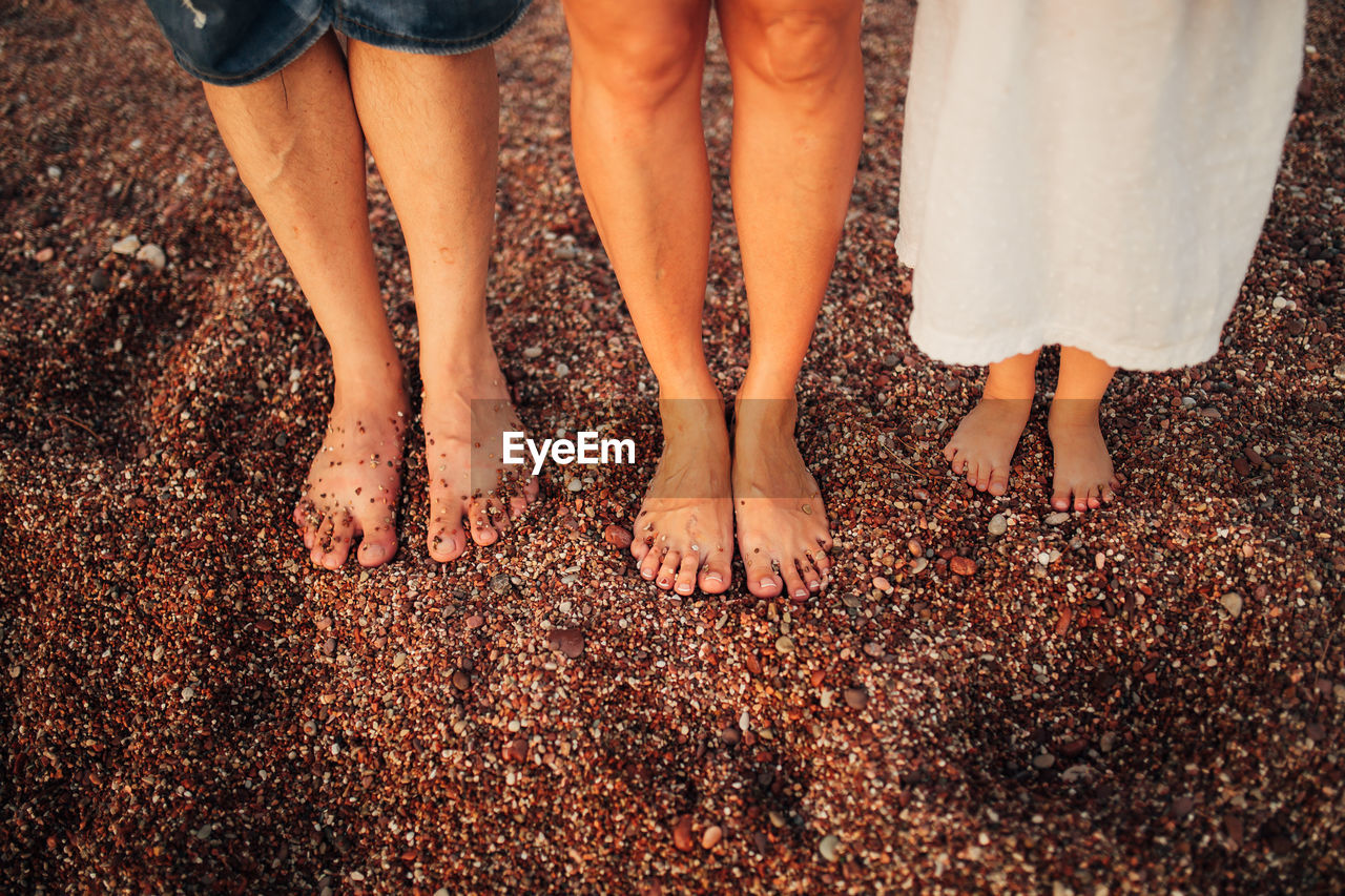 Low section of people standing on land