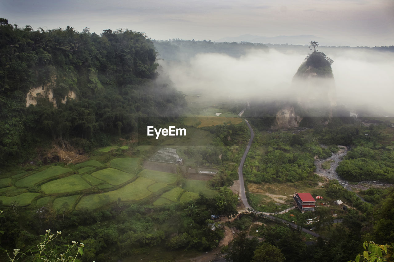 High angle view of trees on landscape against sky