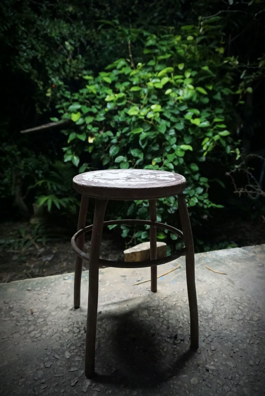 EMPTY BENCH AGAINST PLANTS