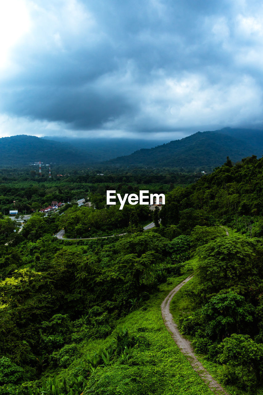 SCENIC VIEW OF ROAD AMIDST TREES AGAINST SKY