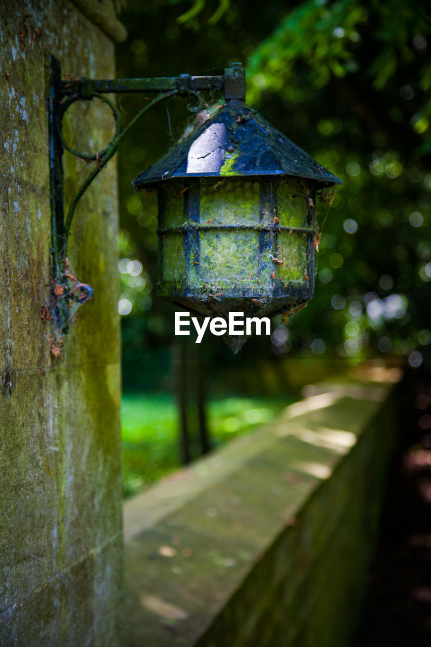 CLOSE-UP OF OLD LANTERN HANGING FROM TREE